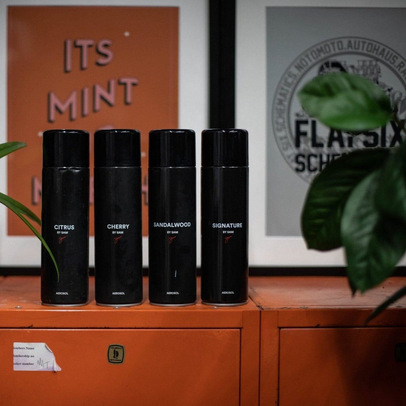 Citrus Aerosol - Sam's Detailing